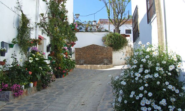 La Fuente Alta de Mairena