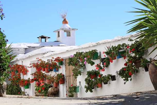 Las calles blancas de Mairena