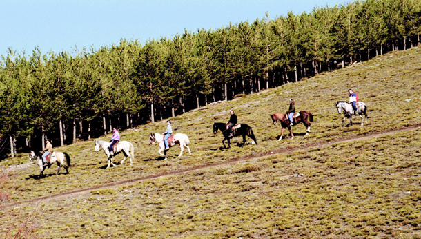 RECORRIDOS A CABALLO