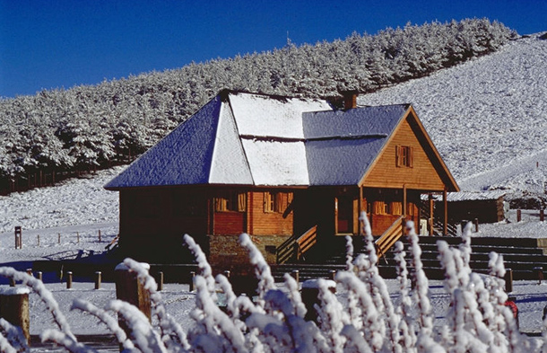 ALBERGUE REFUGIO