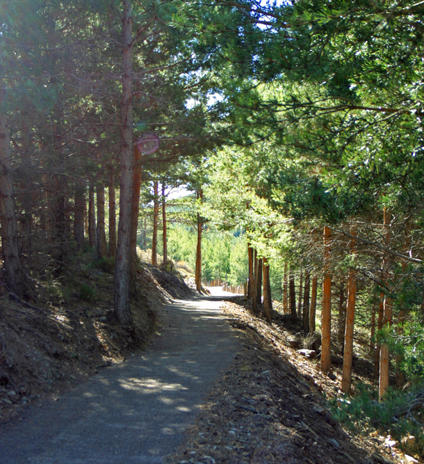 SENDERO DEL PUERTO LA RAGUA A LAROLES