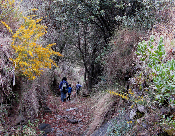 Senderos de Gran Recorrido GR-7 y GR-140