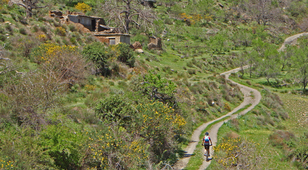 Ruta 4 | Barranco Laroles